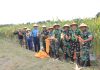 Lanud Adisutjipto Panen Jagung di Lahan Ketahanan Pangan, Buktikan Komitmen Dukung Ketahanan Pangan Nasional