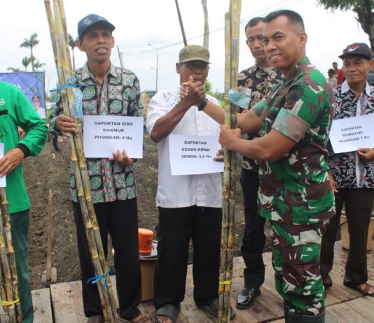 Dandim 0729/Bantul Hadiri Tanam Perdana Bongkar Ratoon Tebu Kabupaten Bantul Tahun 2025