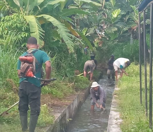 Babinter Lanud Adisutjipto Dampingi Warga Sendangtirto Bersihkan Saluran Irigasi