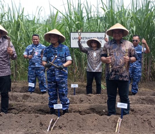 Lanud Adisutjipto Gelar Monitoring Program Ketahanan Pangan Secara Vicon, Libatkan Pemda dan Petani