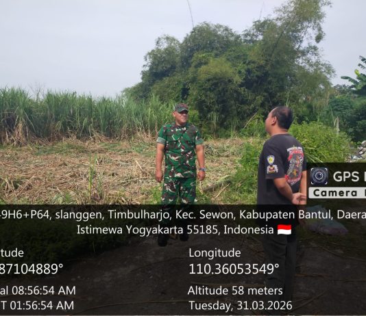 Danramil Sewon Pimpin Penataan Lahan KDKMP di Timbulharjo