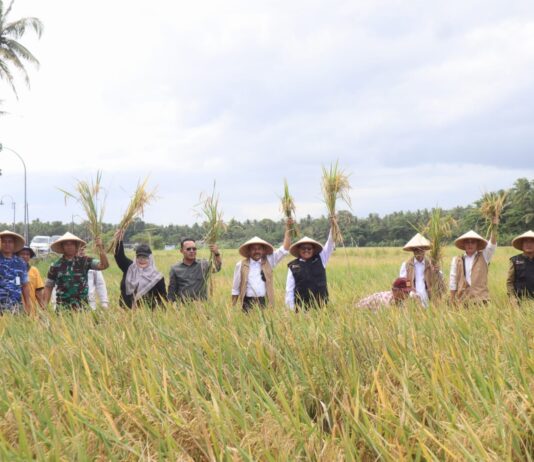 Dandim 0729/Bantul Hadiri Panen Bersama YSPN Perkuat Ketahanan Pangan Nasional